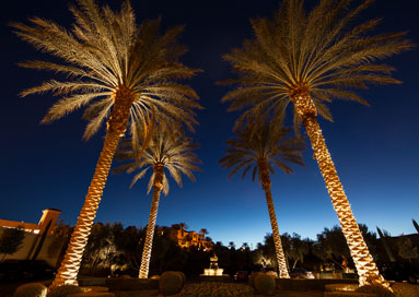 ritz carlton lake las vegas