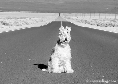 lonesome desert highway