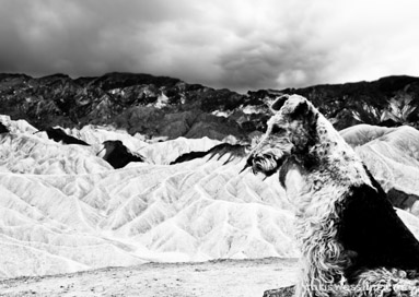 u2 joshua tree death valley