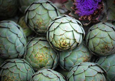 artichokes 2 for a dollar