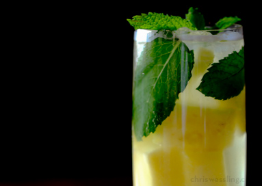 organic mojito recipe