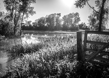 missouri river lexington missouri