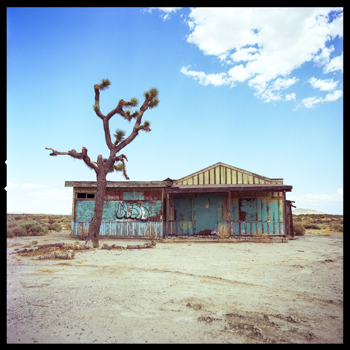 kodak ektar 100 credit chris wessling
