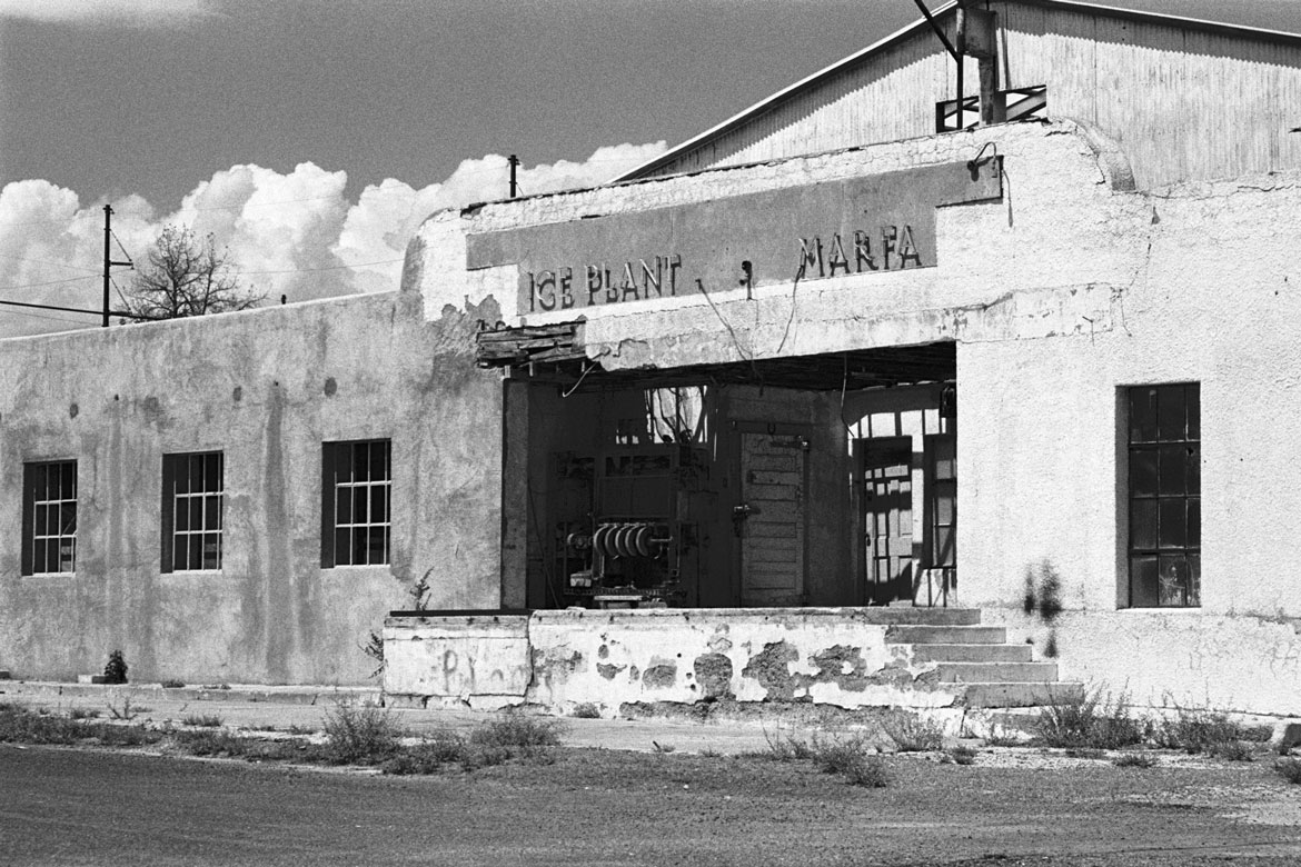 ice plant marfa texas kodak tri-x 400